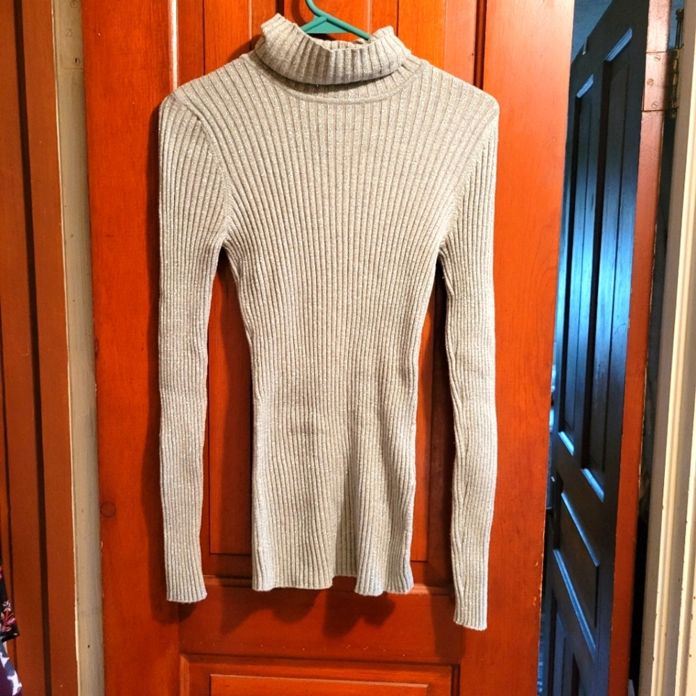 Sparkly Silver sweater from Express size Large.